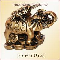 Жаба на слоне